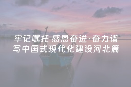 这软件真厉害!家乡大贰辅助神器下载(十打九赢的打法)
