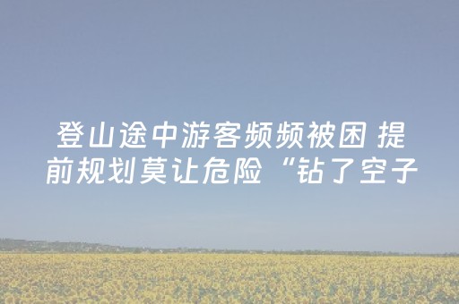 超牛软件神器哟!微乐捉鸡麻将控牌器(怎么老是输)