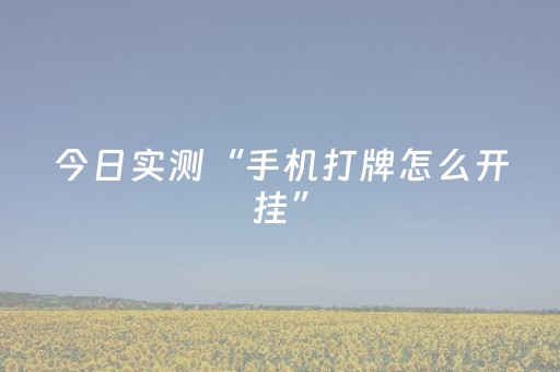 今日实测“手机打牌怎么开挂”（详细开挂教程）-哔哩哔哩