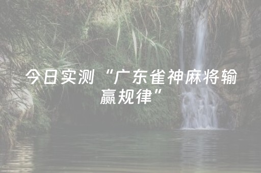 今日实测“广东雀神麻将输赢规律”（详细辅助教程）-哔哩哔哩