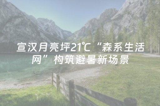宣汉月亮坪21℃“森系生活网”构筑避暑新场景