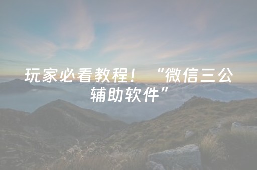 玩家必看教程！“微信三公辅助软件”（详细辅助教程）-哔哩哔哩
