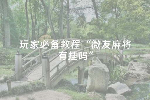 玩家必备教程“微友麻将有挂吗”（详细透视教程）-哔哩哔哩