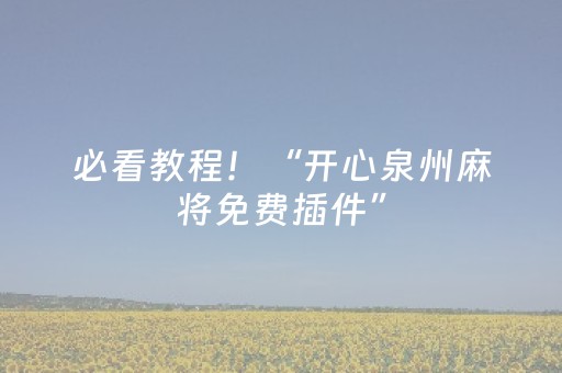 必看教程！“开心泉州麻将免费插件”（详细辅助教程）-哔哩哔哩