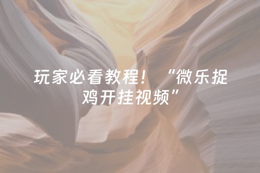 玩家必看教程！“微乐捉鸡开挂视频”（详细开挂教程）-哔哩哔哩