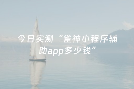今日实测“雀神小程序辅助app多少钱”（详细辅助教程）-哔哩哔哩