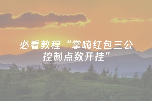 必看教程“掌嗨红包三公控制点数开挂”（详细透视教程）-哔哩哔哩