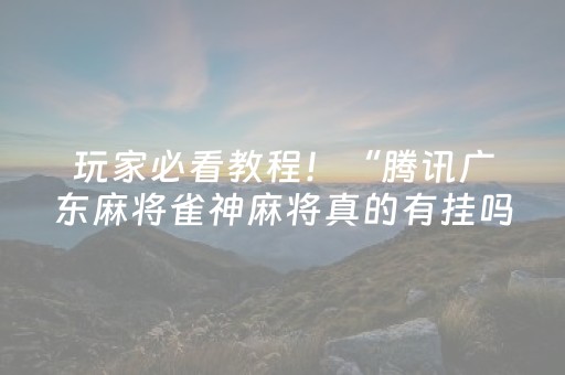 玩家必看教程！“腾讯广东麻将雀神麻将真的有挂吗”（详细开挂教程）-哔哩哔哩