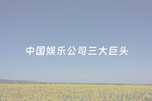 中国娱乐公司三大巨头（中国娱乐公司三大巨头天娱传媒）