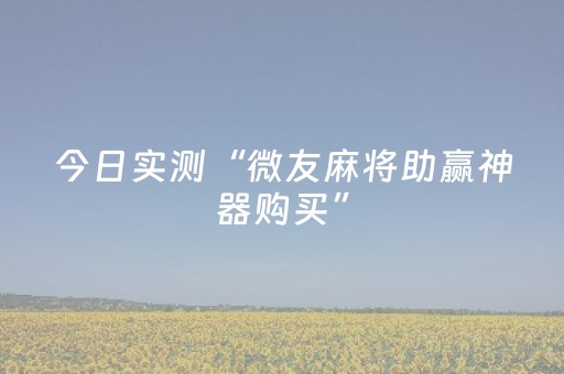今日实测“微友麻将助赢神器购买”（详细辅助教程）-哔哩哔哩