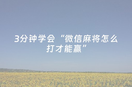 3分钟学会“微信麻将怎么打才能赢”（详细透视教程）-哔哩哔哩