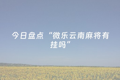 今日盘点“微乐云南麻将有挂吗”（详细开挂教程）-哔哩哔哩