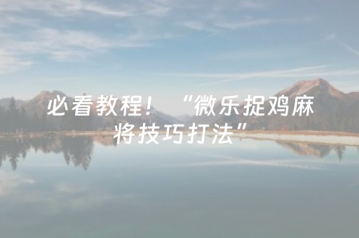 必看教程！“微乐捉鸡麻将技巧打法”（详细开挂教程）-哔哩哔哩