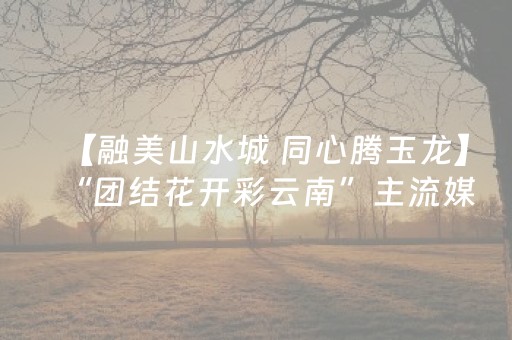 超带感的软件!微乐手机麻将助赢神器(怎么让牌变好)