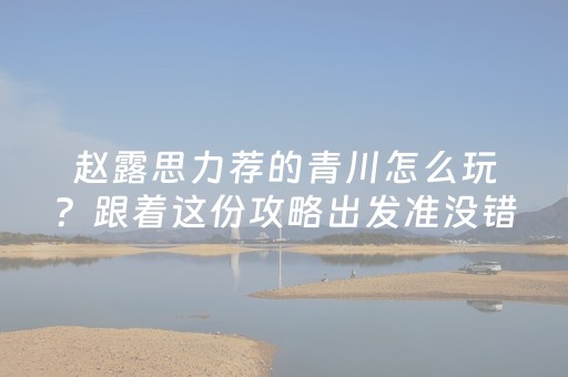 软件神器超绝!中至麻将输赢规律真的确实(提高胜率技巧)