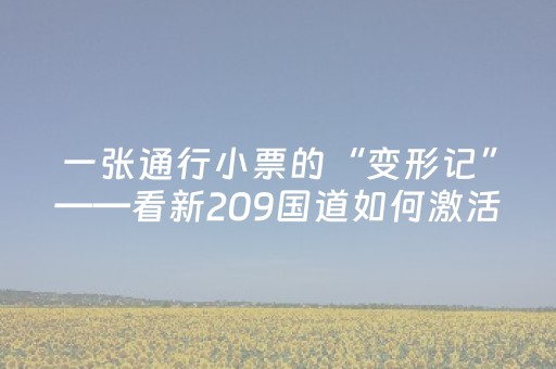 一张通行小票的“变形记”——看新209国道如何激活吕梁旅游新动能