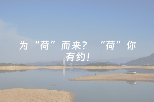 这神器太绝了!欢喜麻将如何提高胜率(怎样赢的几率大)