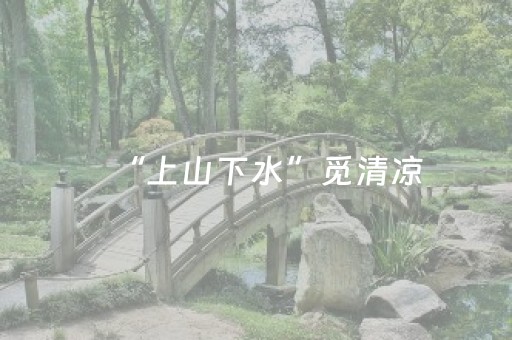 “上山下水”觅清凉，湖北襄阳暑期文旅市场热力十足