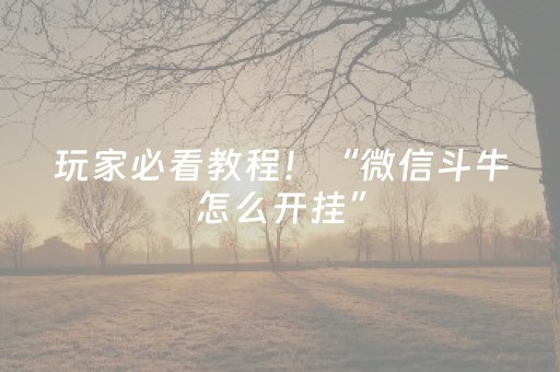 玩家必看教程！“微信斗牛怎么开挂”（详细开挂教程）-哔哩哔哩