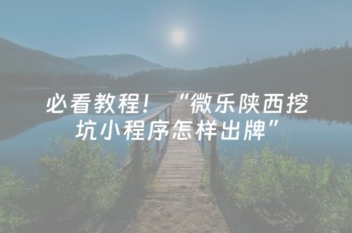 必看教程！“微乐陕西挖坑小程序怎样出牌”（详细透视教程）-哔哩哔哩