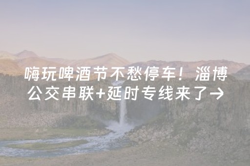 嗨玩啤酒节不愁停车！淄博公交串联+延时专线来了→