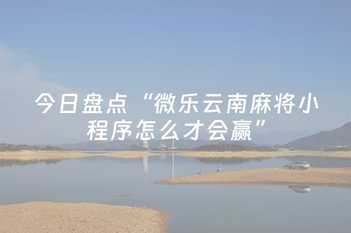 今日盘点“微乐云南麻将小程序怎么才会赢”（详细开挂教程）-哔哩哔哩