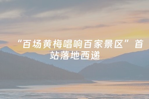 超炫软件神器!微乐福建麻将怎么设置会赢(有哪些猫腻)