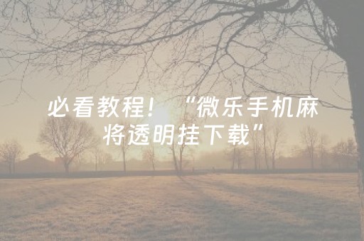 必看教程！“微乐手机麻将透明挂下载”（详细辅助教程）-哔哩哔哩