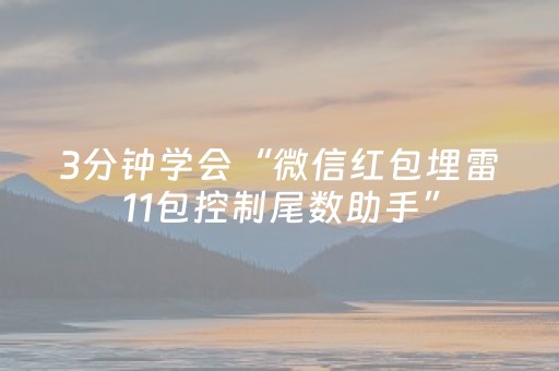 3分钟学会“微信红包埋雷11包控制尾数助手”（详细透视教程）-哔哩哔哩