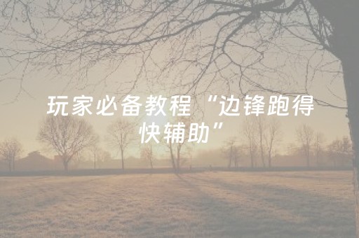 玩家必备教程“边锋跑得快辅助”（详细透视教程）-哔哩哔哩