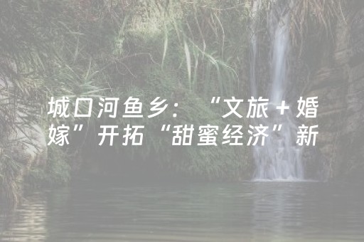 绝赞软件工具!微乐云南麻将铺牌器(充会员胜率高)