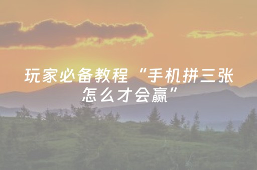 玩家必备教程“手机拼三张怎么才会赢”（详细透视教程）-哔哩哔哩