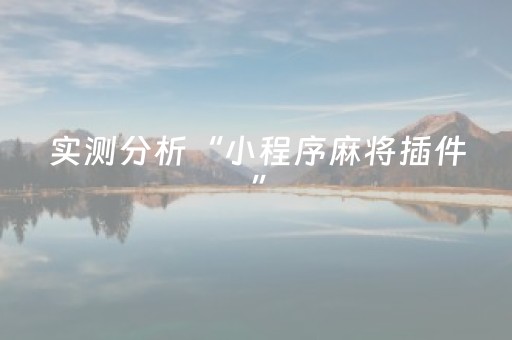 实测分析“小程序麻将插件”（详细辅助教程）-哔哩哔哩