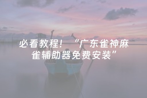 必看教程！“广东雀神麻雀辅助器免费安装”（详细辅助教程）-哔哩哔哩
