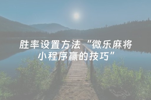 胜率设置方法“微乐麻将小程序赢的技巧”（详细透视教程）-哔哩哔哩