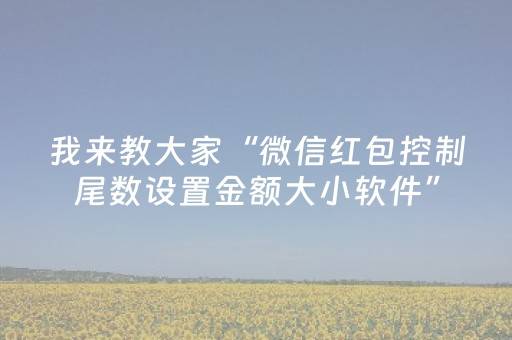 我来教大家“微信红包控制尾数设置金额大小软件”（详细透视教程）-哔哩哔哩
