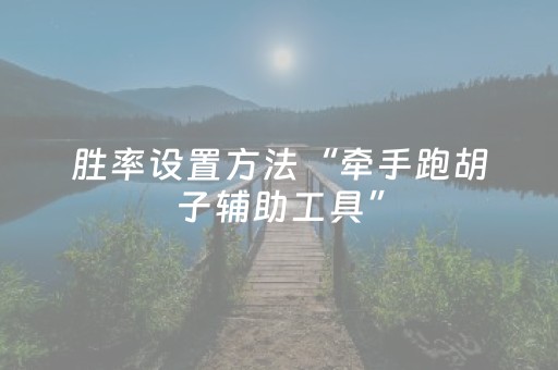 胜率设置方法“牵手跑胡子辅助工具”（详细透视教程）-哔哩哔哩