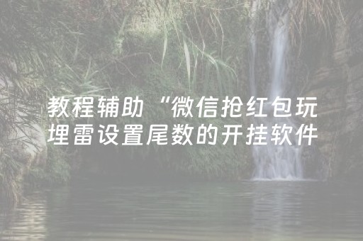 教程辅助“微信抢红包玩埋雷设置尾数的开挂软件”（详细透视教程）-哔哩哔哩