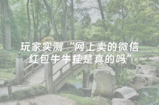玩家实测“网上卖的微信红包牛牛挂是真的吗”（详细透视教程）-哔哩哔哩