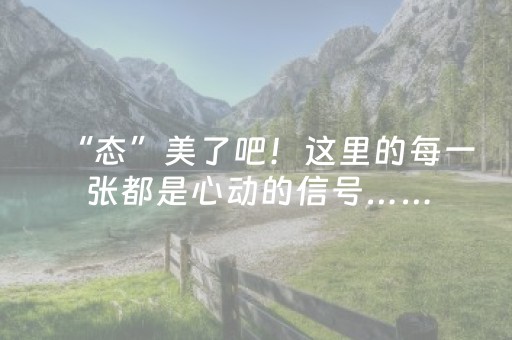 安装程序教程“雀神广东麻将助赢神器”（必赢神器辅助器)