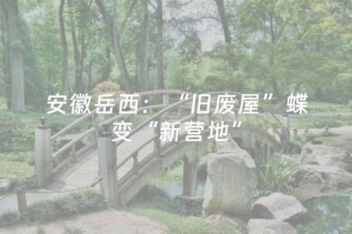 今日重大通报“微信跑得快辅助器工具”（辅助挂发牌规律)