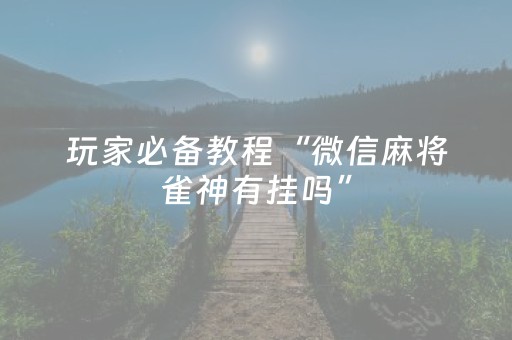 玩家必备教程“微信麻将雀神有挂吗”（详细透视教程）-哔哩哔哩