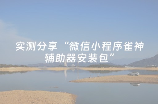 实测分享“微信小程序雀神辅助器安装包”（详细辅助教程）-哔哩哔哩