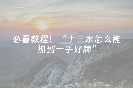 必看教程！“十三水怎么能抓到一手好牌”（详细辅助教程）-哔哩哔哩