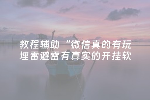 教程辅助“微信真的有玩埋雷避雷有真实的开挂软件”（详细透视教程）-哔哩哔哩