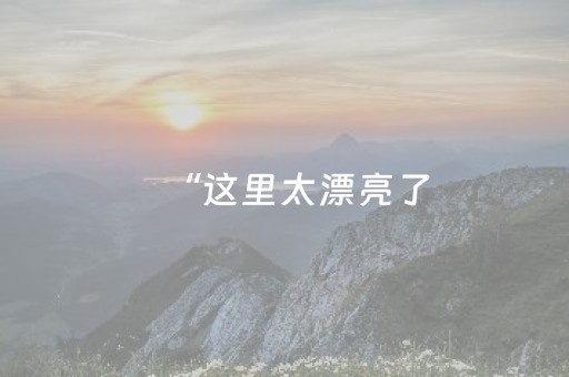 盘点十款“微信小程序陕西麻将技巧和打好牌方法”（胜率到哪调)