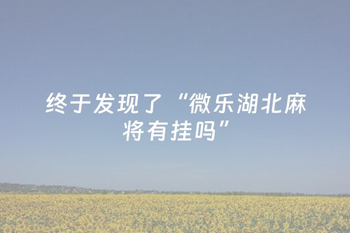 终于发现了“微乐湖北麻将有挂吗”（详细透视教程）-哔哩哔哩
