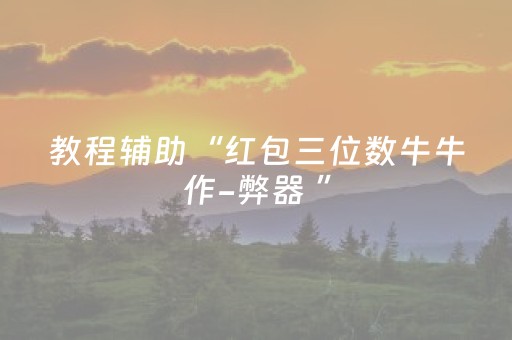 教程辅助“红包三位数牛牛作-弊器 ”（详细透视教程）-哔哩哔哩