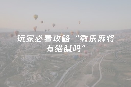 玩家必看攻略“微乐麻将有猫腻吗”（详细透视教程）-哔哩哔哩