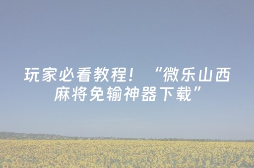 玩家必看教程！“微乐山西麻将免输神器下载”（详细透视教程）-哔哩哔哩